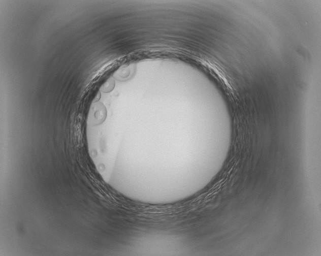 X0000115400968200912151517