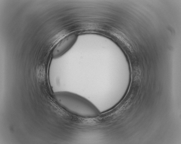 X0000115400969200912151517