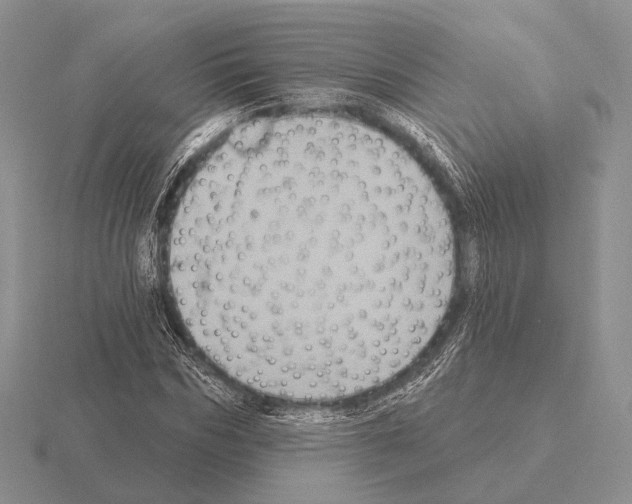 X0000115400970200912151517