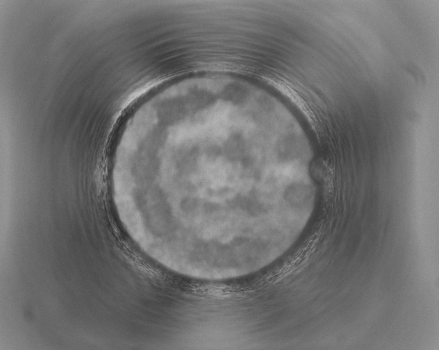 X0000115400971200912151517