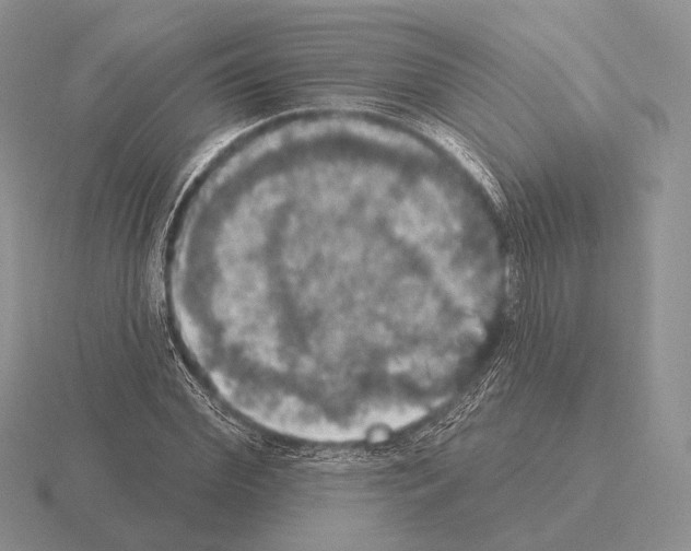 X0000115400972200912151517