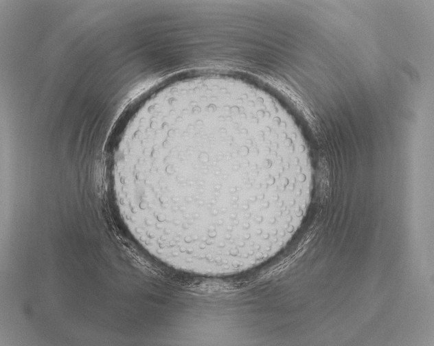 X0000115400974200912151517