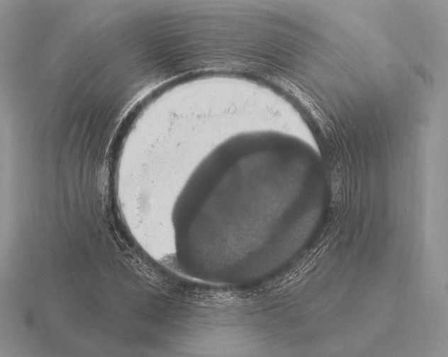 X0000115400975200912151517