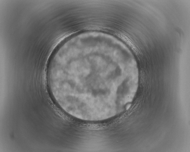 X0000115400976200912151517