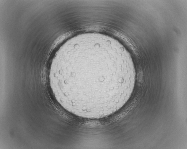 X0000115400978200912151517