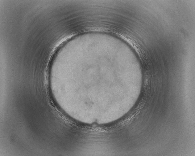 X0000115400979200912151517