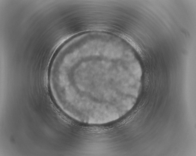 X0000115400980200912151517