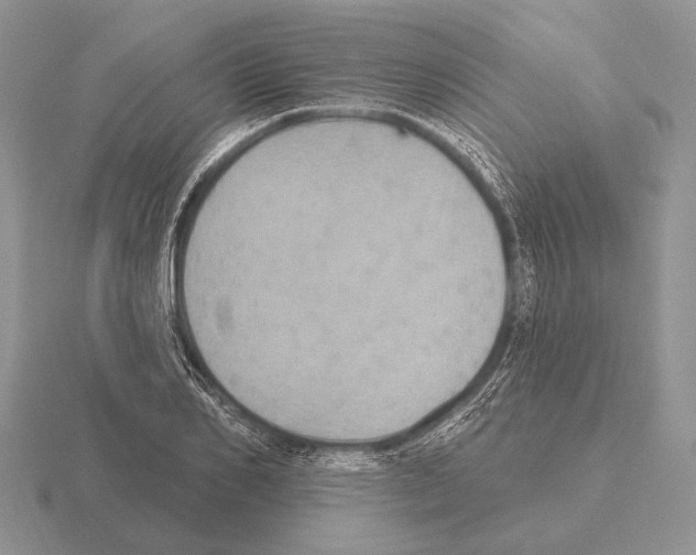 X0000115400982200912151517