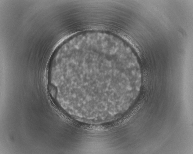 X0000115400983200912151517