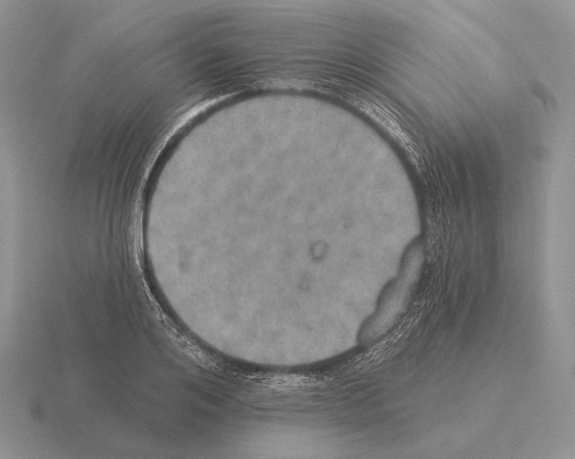 X0000115400984200912151517