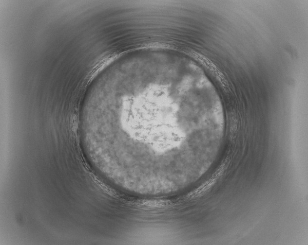 X0000115400985200912151517