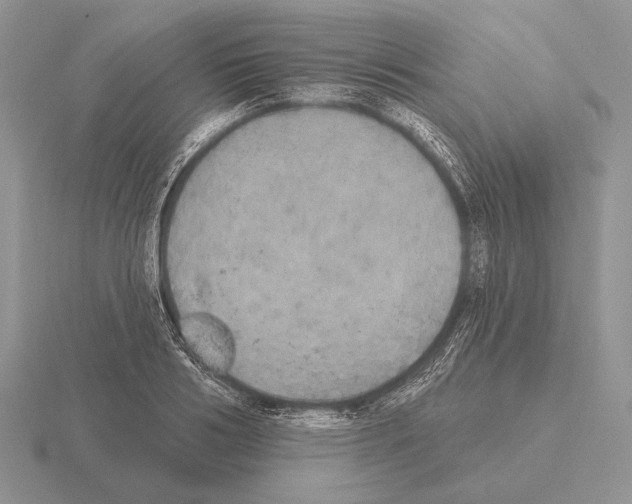 X0000115400986200912151517