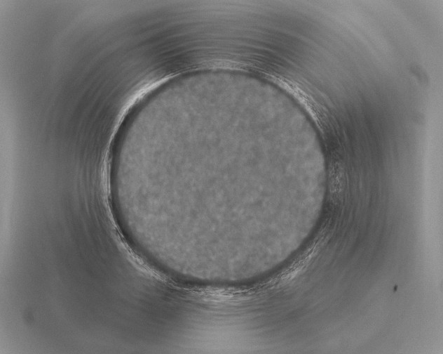 X0000115400987200912151517