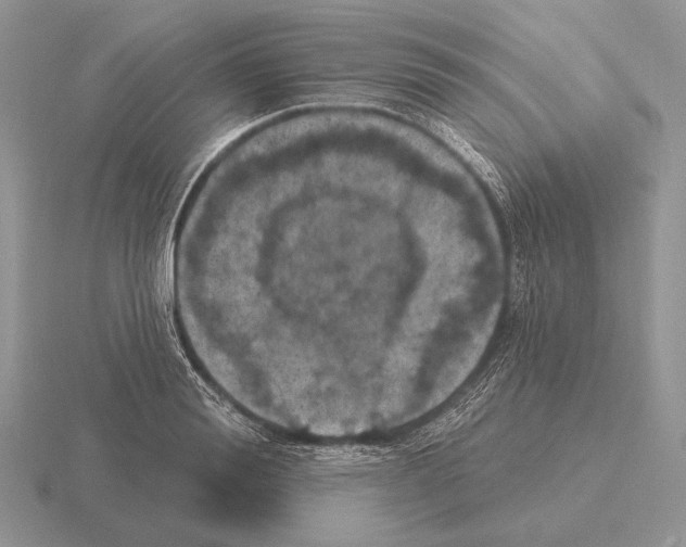 X0000115400988200912151517