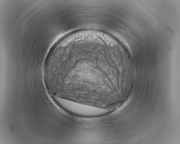 X0000115400989200912151517