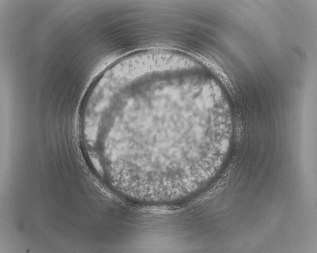 X0000115400990200912151517