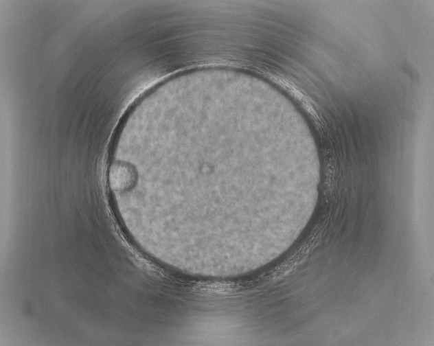 X0000115400991200912151517