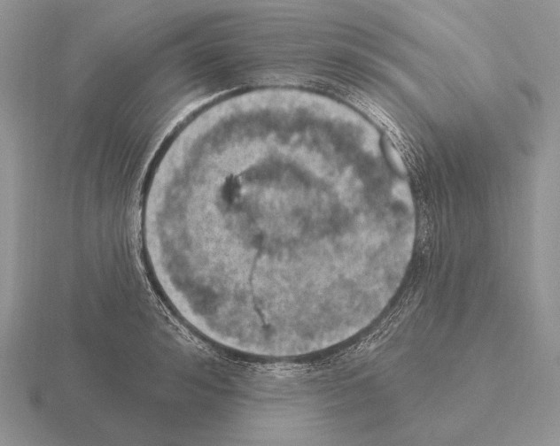 X0000115400992200912151517