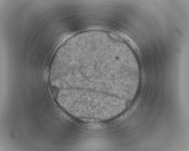 X0000115400993200912151517