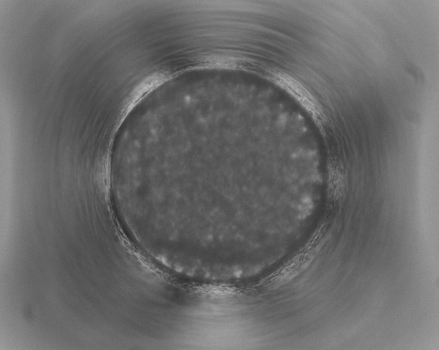 X0000115400994200912151517