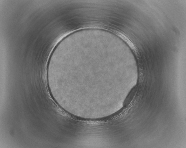 X0000115400996200912151517