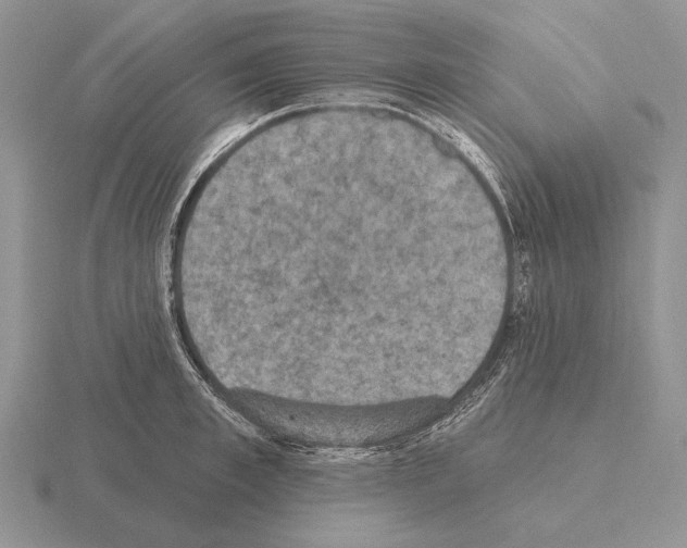 X0000115400997200912151517