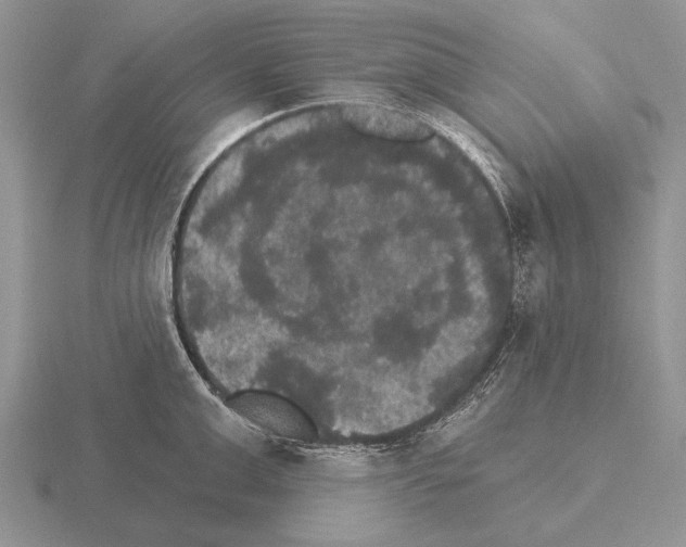 X0000115400999200912151517