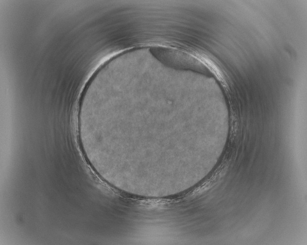 X0000115401000200912151517