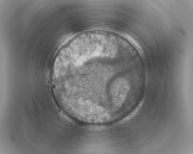 X0000115401001200912151517