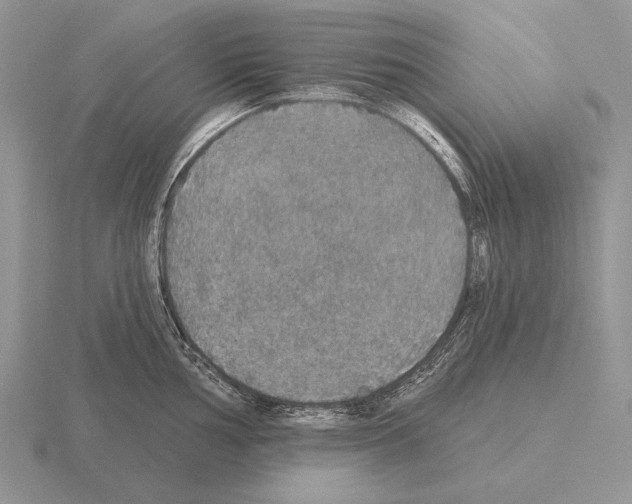 X0000115401002200912151517