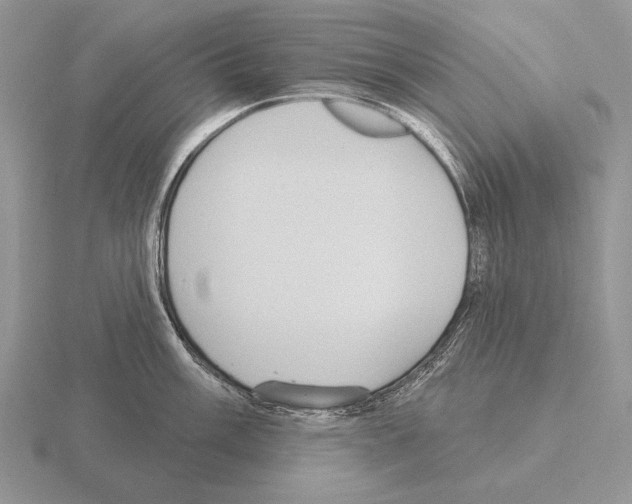 X0000115401003200912151517