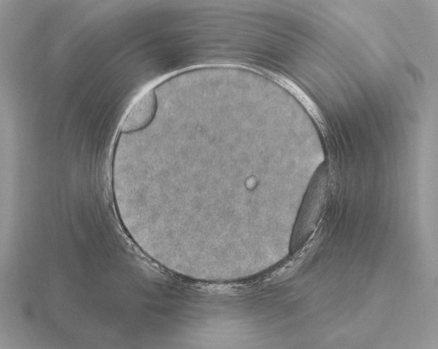 X0000115401004200912151517