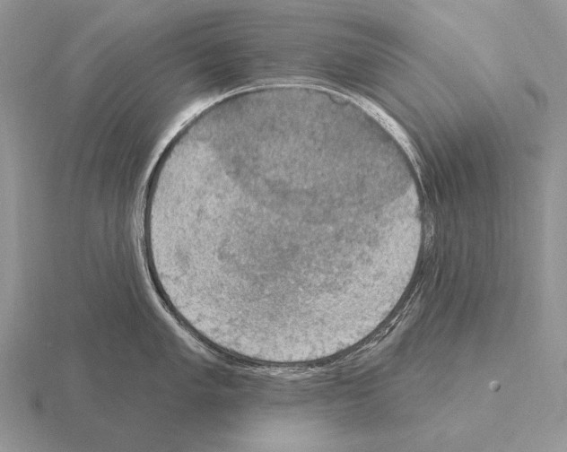 X0000115401005200912151517