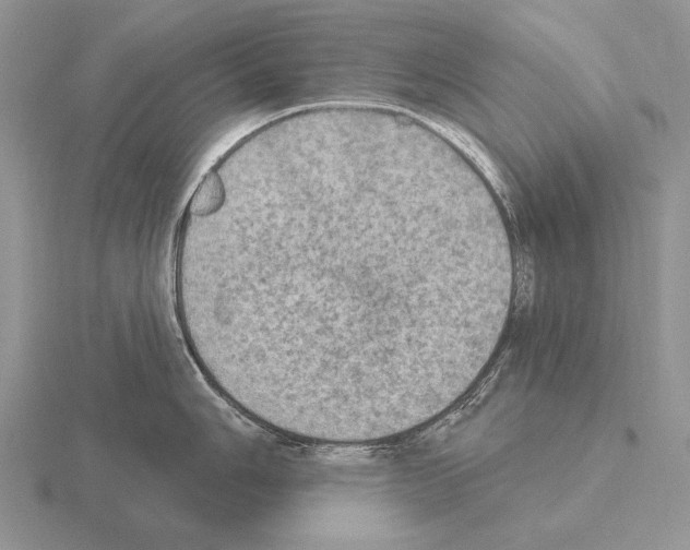 X0000115401006200912151517