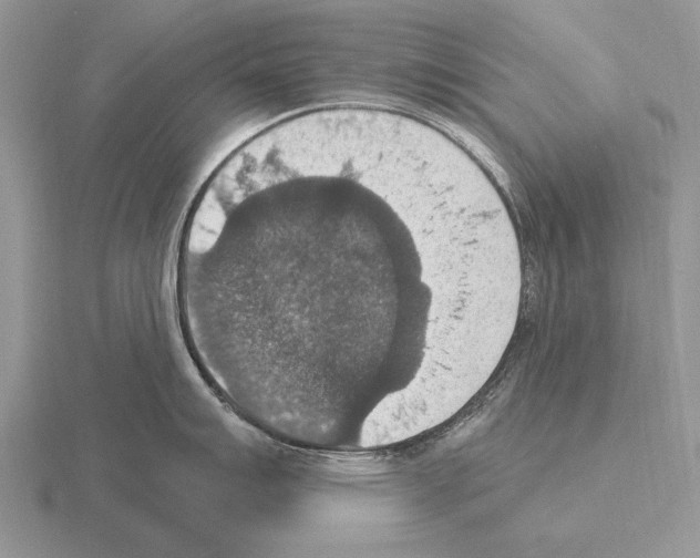 X0000115401007200912151517