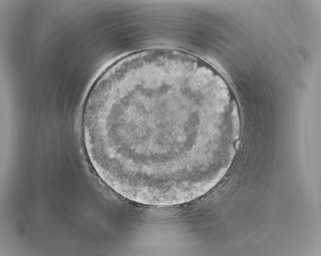 X0000115401008200912151517