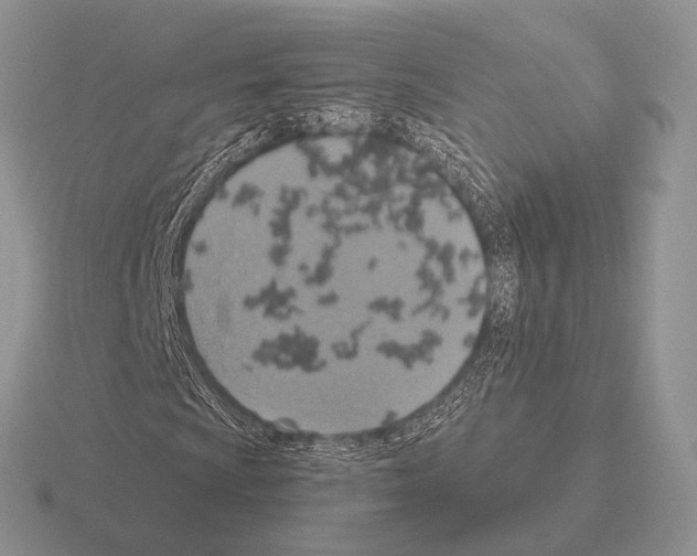 X0000115401009200912151516