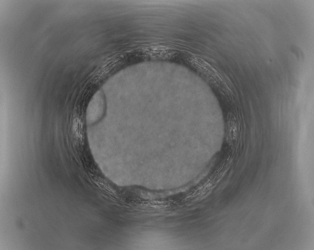 X0000115401010200912151516