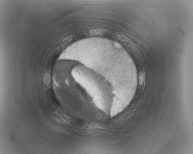 X0000115401011200912151516