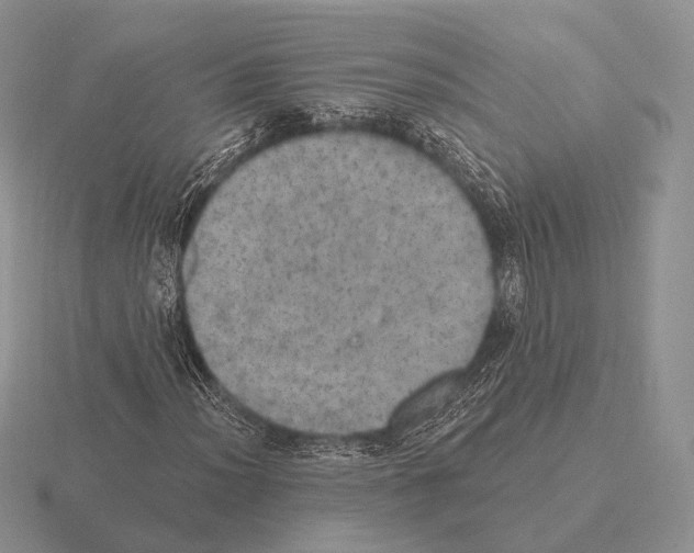 X0000115401012200912151516