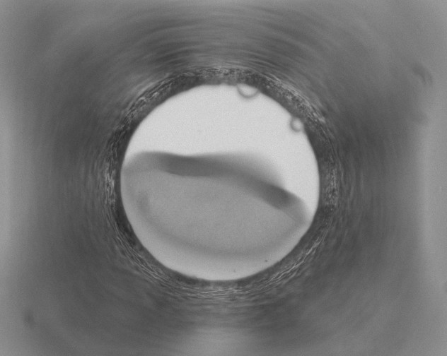 X0000115401013200912151516