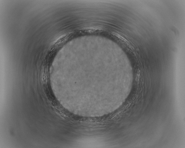 X0000115401014200912151516