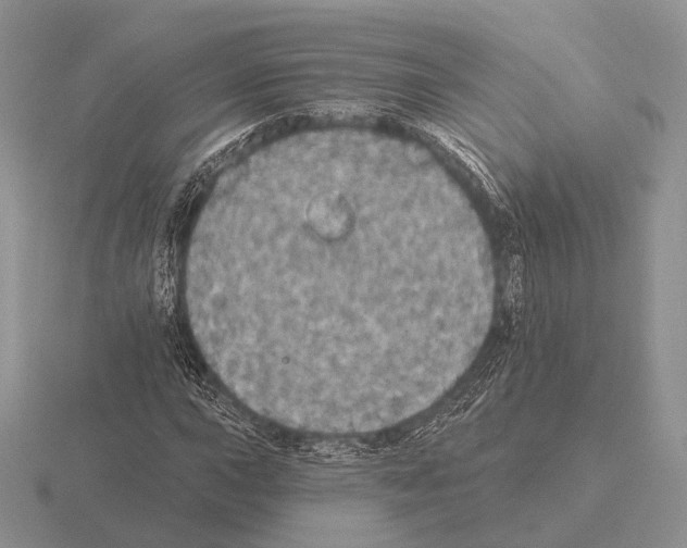 X0000115401015200912151516