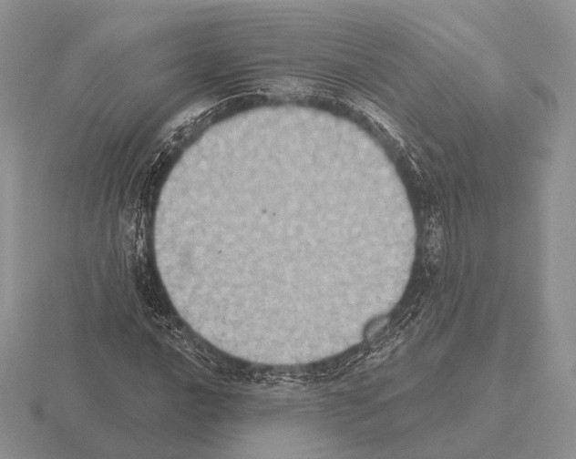 X0000115401016200912151516