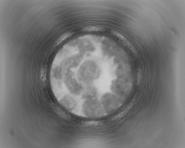 X0000115401017200912151516