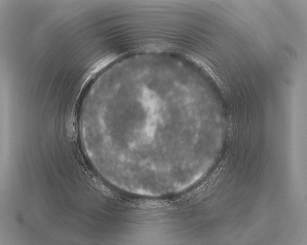 X0000115401018200912151516