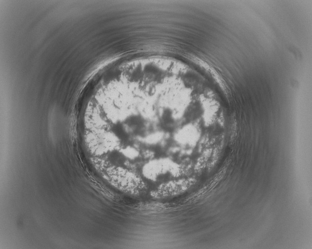 X0000115401019200912151516