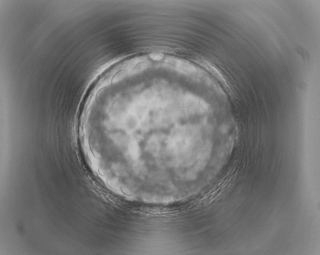 X0000115401020200912151516