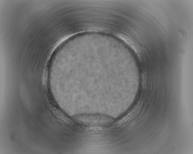 X0000115401021200912151516