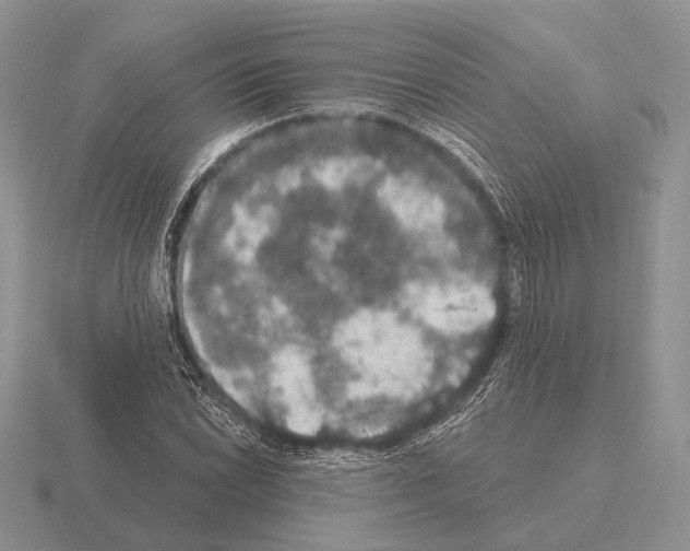 X0000115401022200912151516